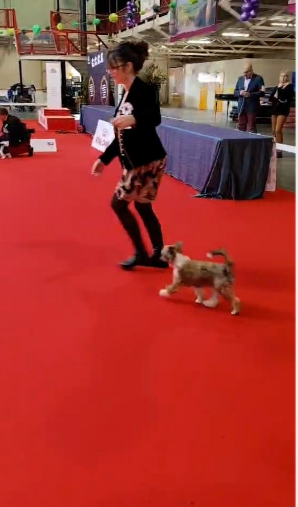 L' année 2026 est lancée!!!