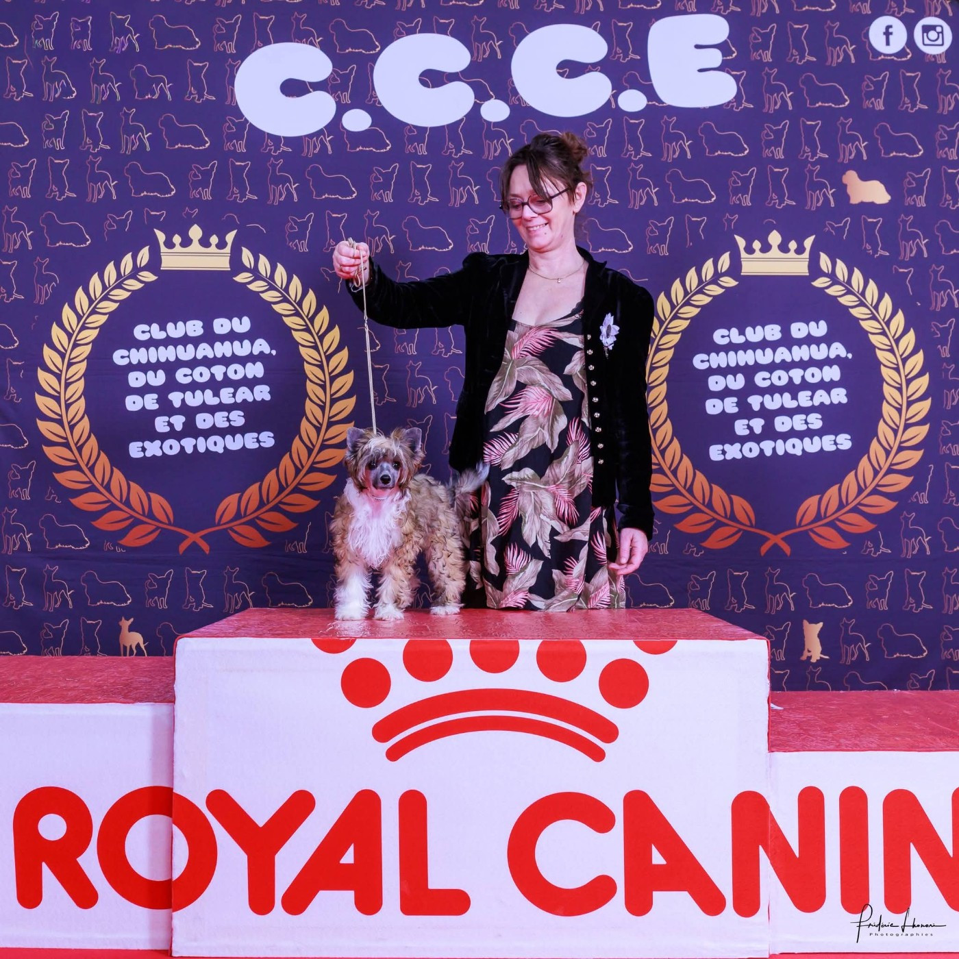 L' année 2026 est lancée!!!