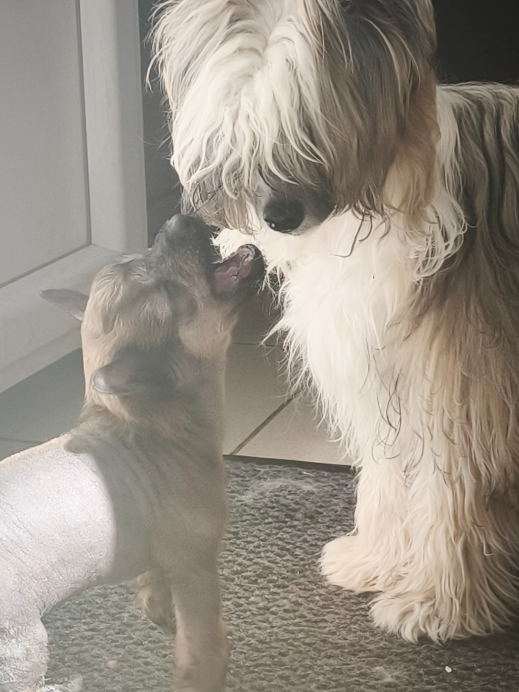 Des nouvelles de notre bébé 2026